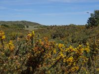 Hochebene Paul da Serra