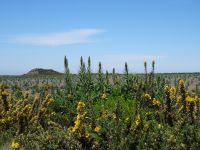 Hochebene Paul da Serra