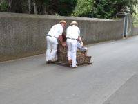 Monte- Korbschlittenfahrt