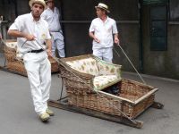 Monte - Korbschlitten