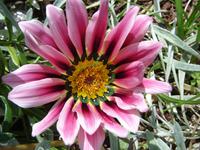 199 Impressionen
