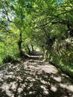 Kleine Wanderung durch den 