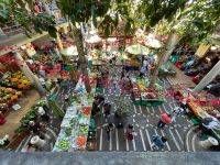 Bauernmarkt in Funchals Markthalle