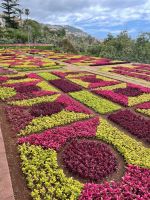 Bunte Beete im Botanischen Garten