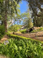 Anwesen der Blandys im Palheiro Garden