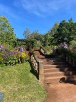Treppe zu den Seerosenteichen