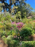 Pflanzenpracht im Palheiro Garden