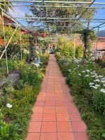 Blumengarten in unserem Hotel Quinta Splendida