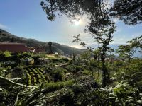 Ausblick vom Hotelgarten in Richtung Meer