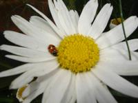 201 Impressionen