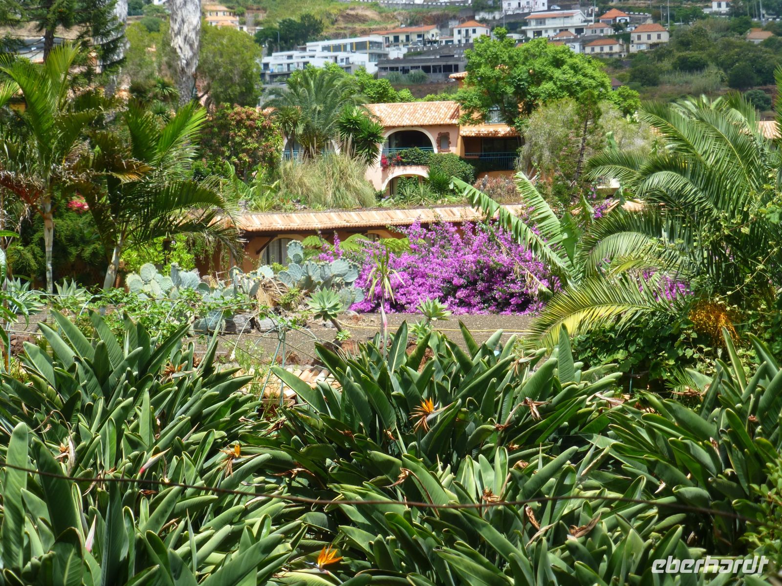 … wie eine kleine Stadt im Grünen angelegt…