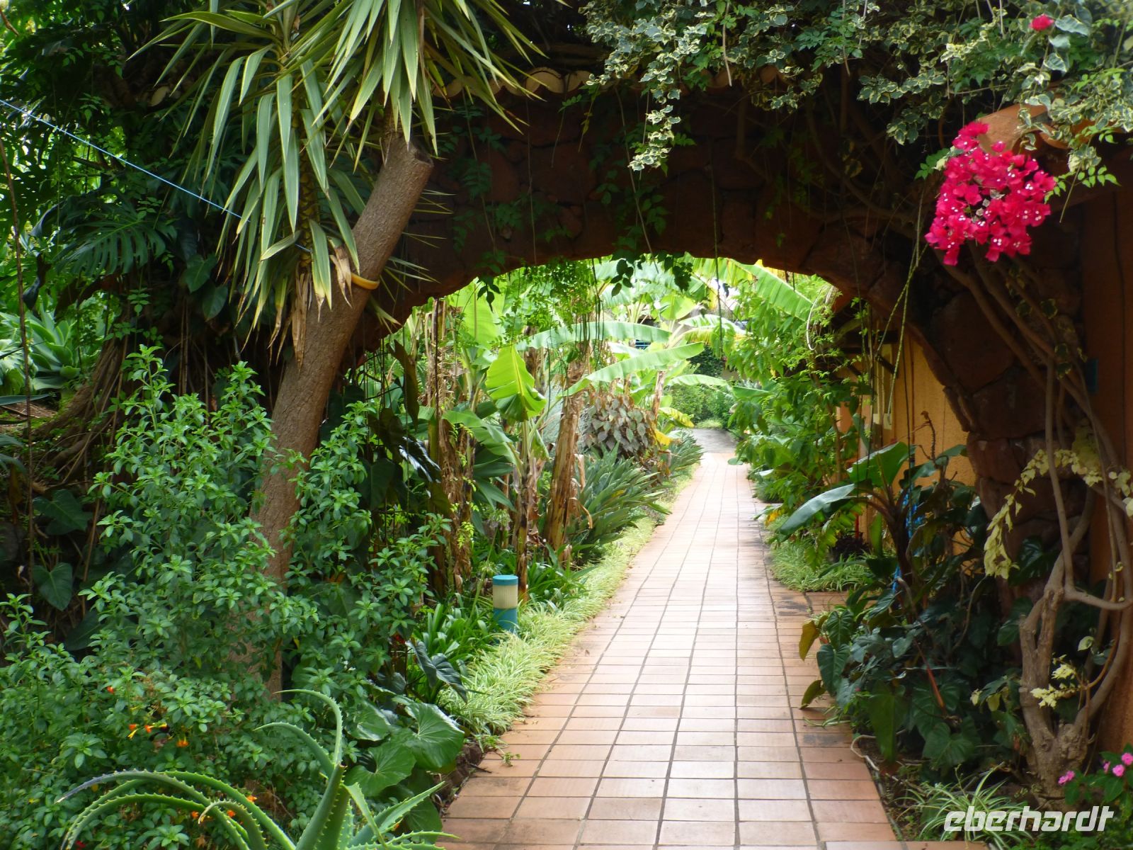 … mit verwunschenen Wegen…