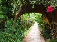 … mit verwunschenen Wegen…