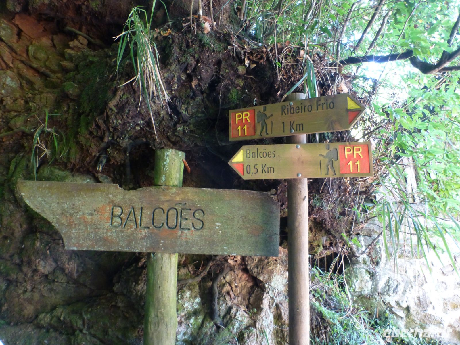 Hier geht keiner verloren 