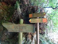 Hier geht keiner verloren 