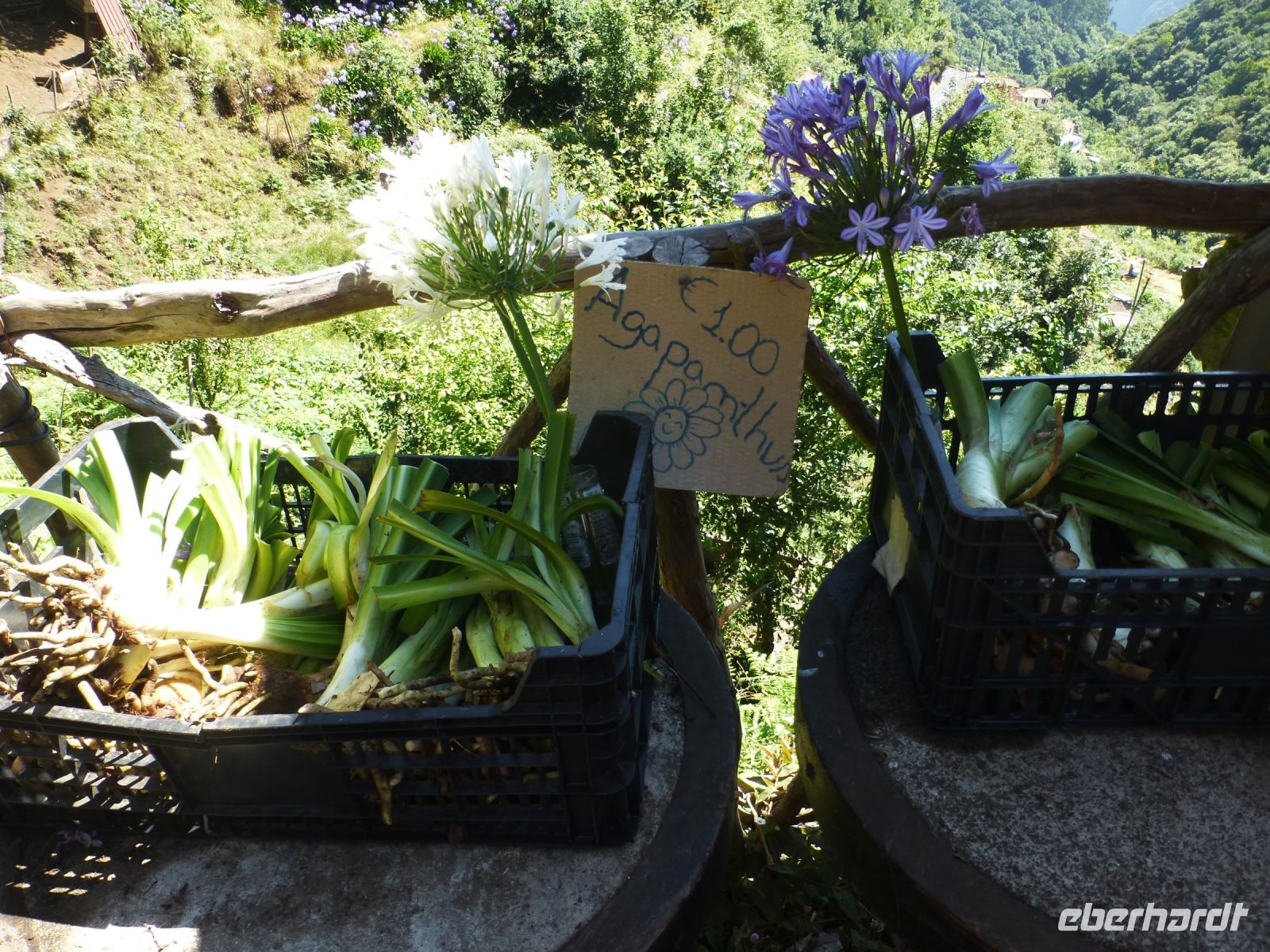 Kaufgelegenheit am Wegesrand…