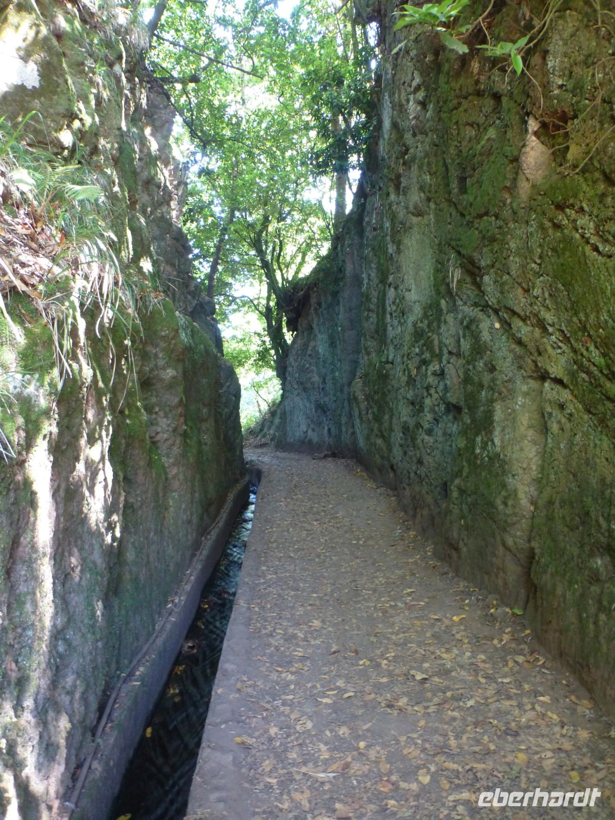 Der Levada wurde jeder Weg geebnet