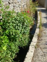 …und die Levada von Maroços weist den Weg