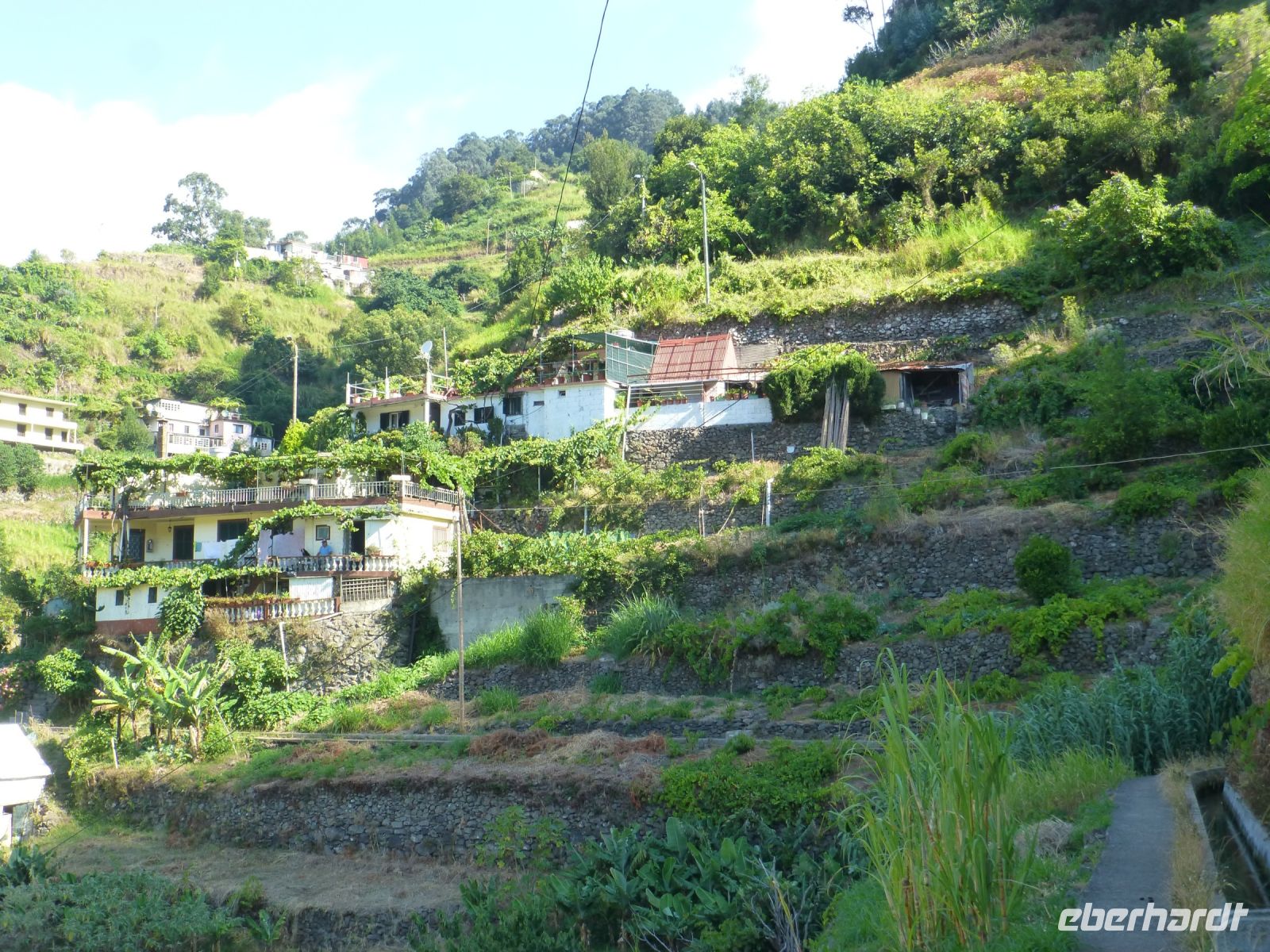 Terrassierte Hänge für Obst und Gemüse