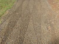 Auf gepflegten Wegen …