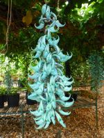 Sieht aus wie aus einem Science-Fiction-Film, ist aber echt