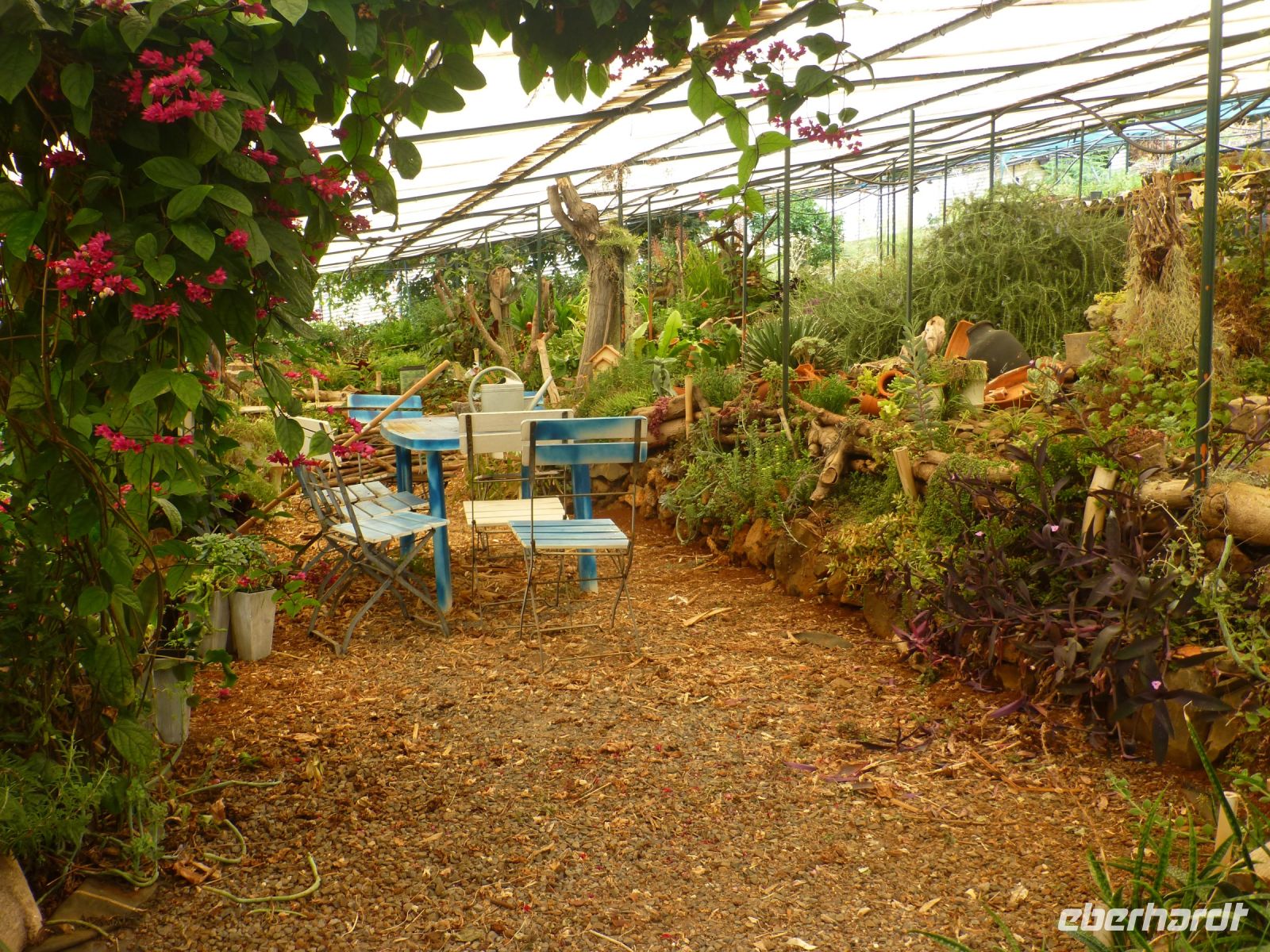 Esmeraldas Gartenparadies mit Gewächshaus…