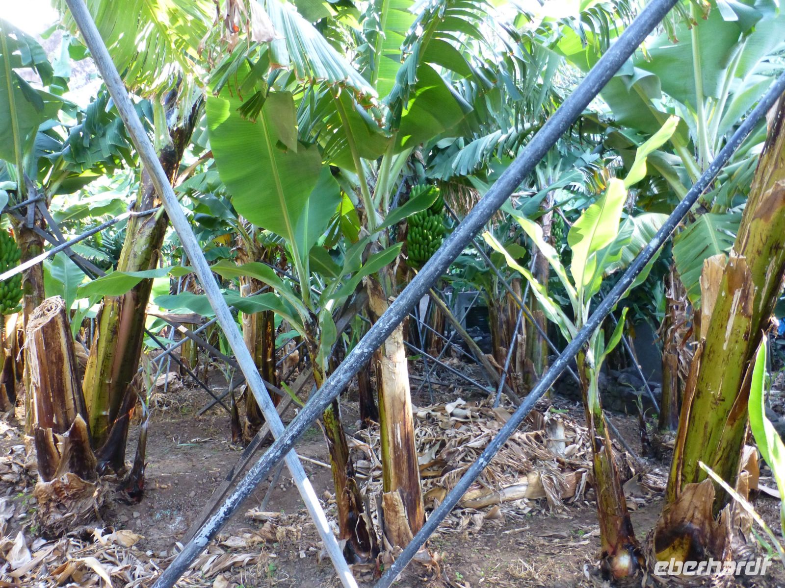 … und muss abgestützt werden