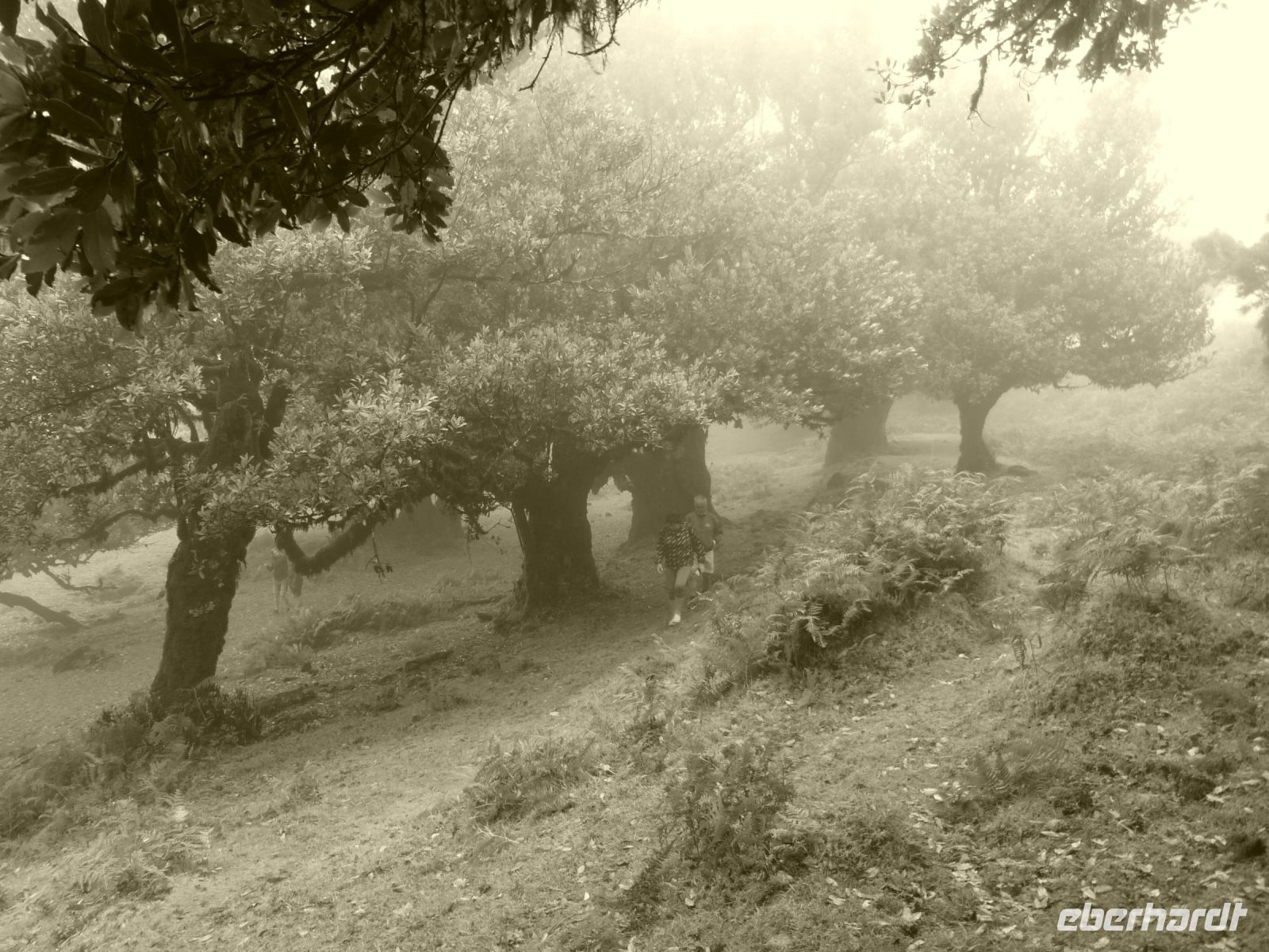 Das Wetter entfaltet einen eigenen Reiz