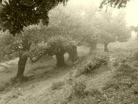 Das Wetter entfaltet einen eigenen Reiz