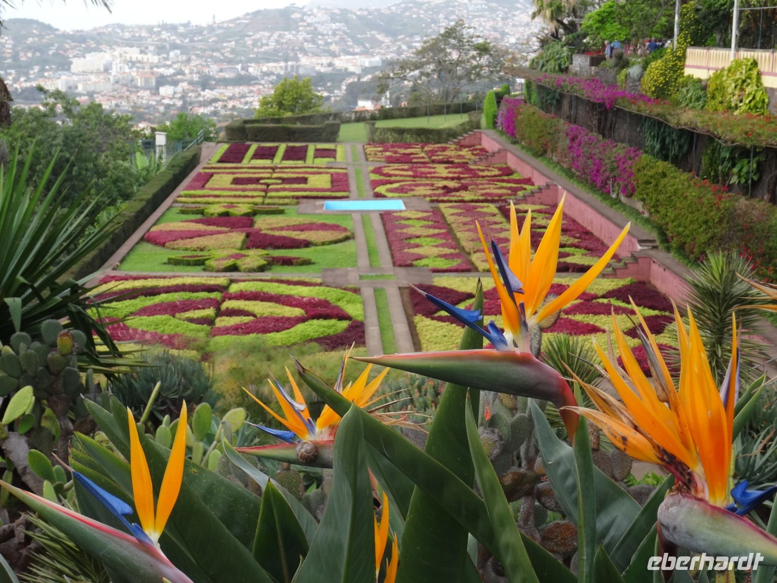 der Botanische Garten von Funchal