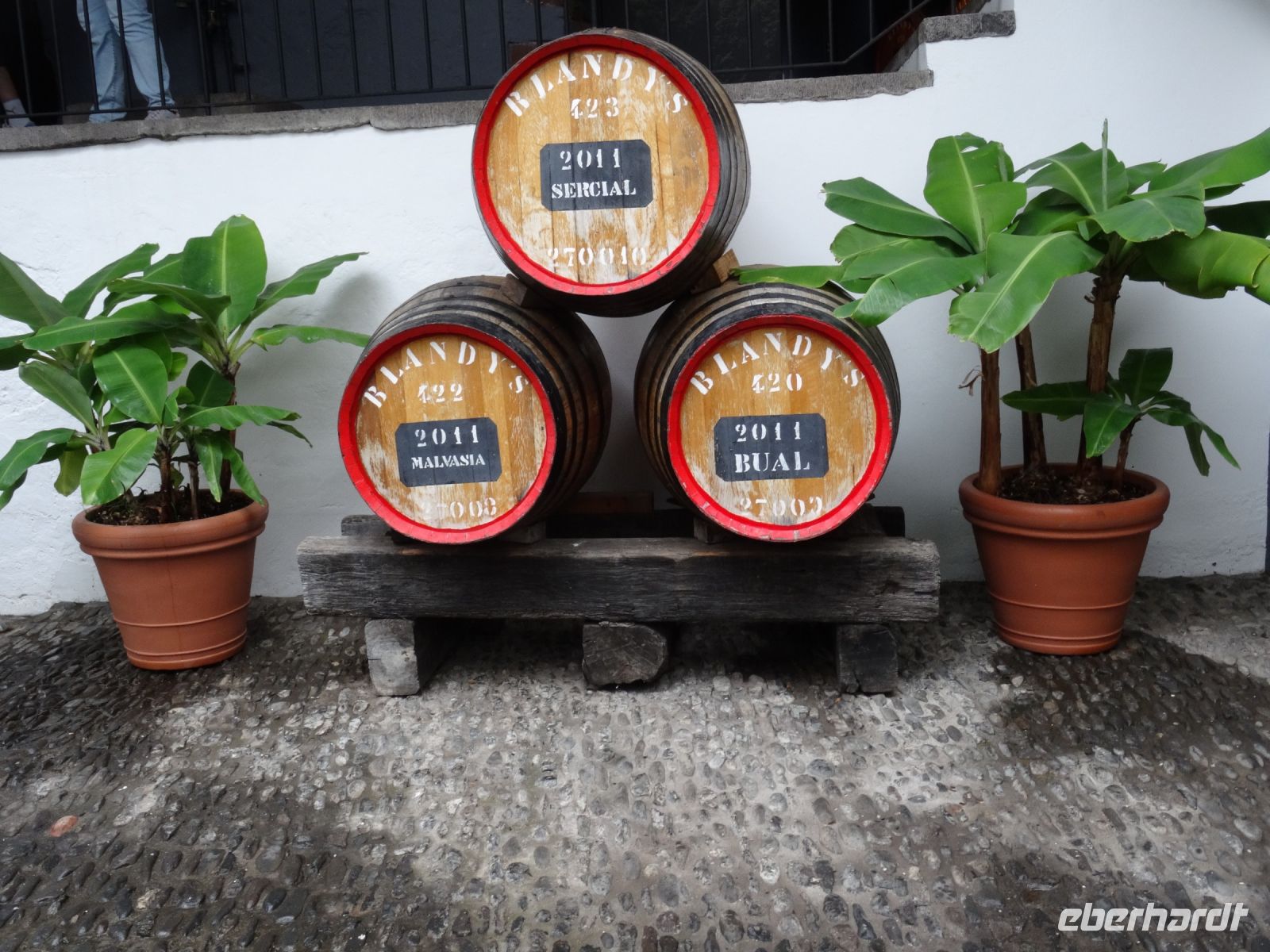 Funchal - Blandys Weinkeller