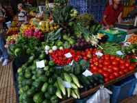 Markthalle von Funchal
