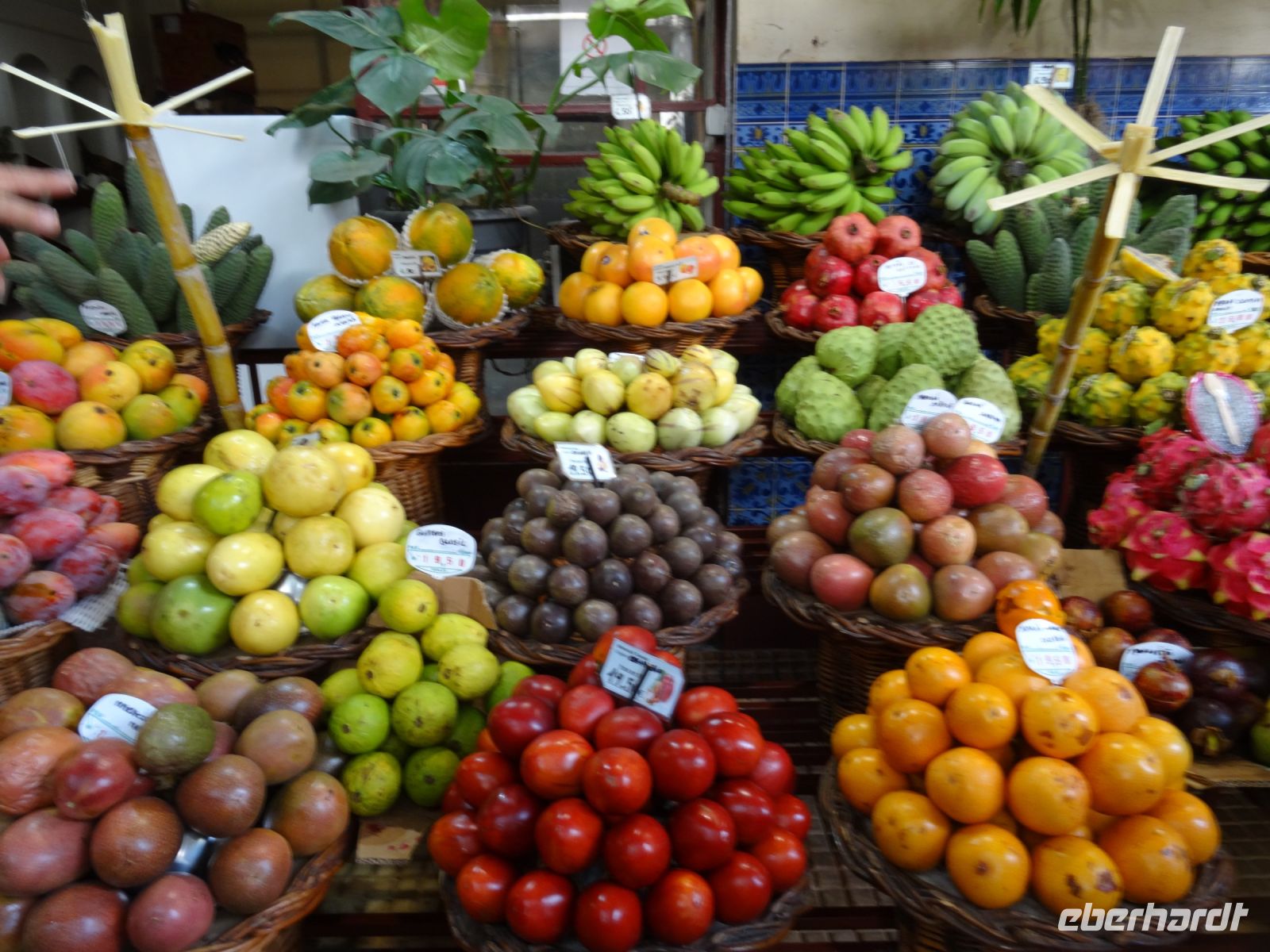 in der Markthalle von Funchal