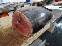 in der Markthalle - Thunfisch