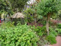 Esmeraldas Kräutergarten