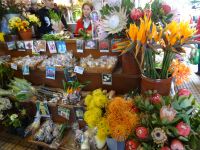 Funchal - Markthalle