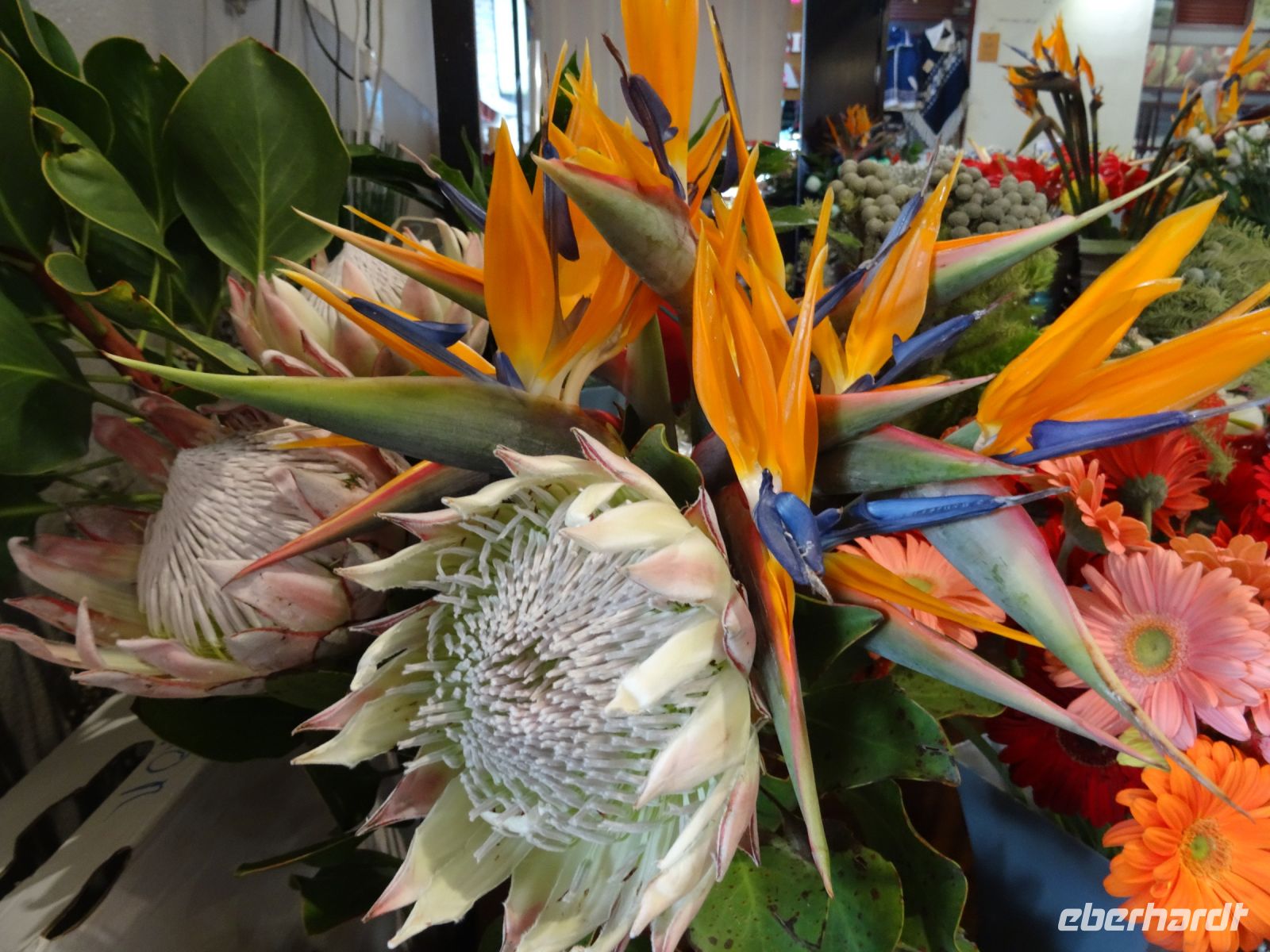 Funchal - Markthalle