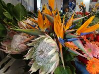 Funchal - Markthalle