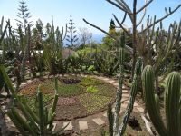 Botanischer Garten von Funchal