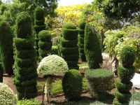 Botanischer Garten von Funchal