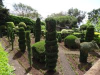 Botanischer Garten von Funchal