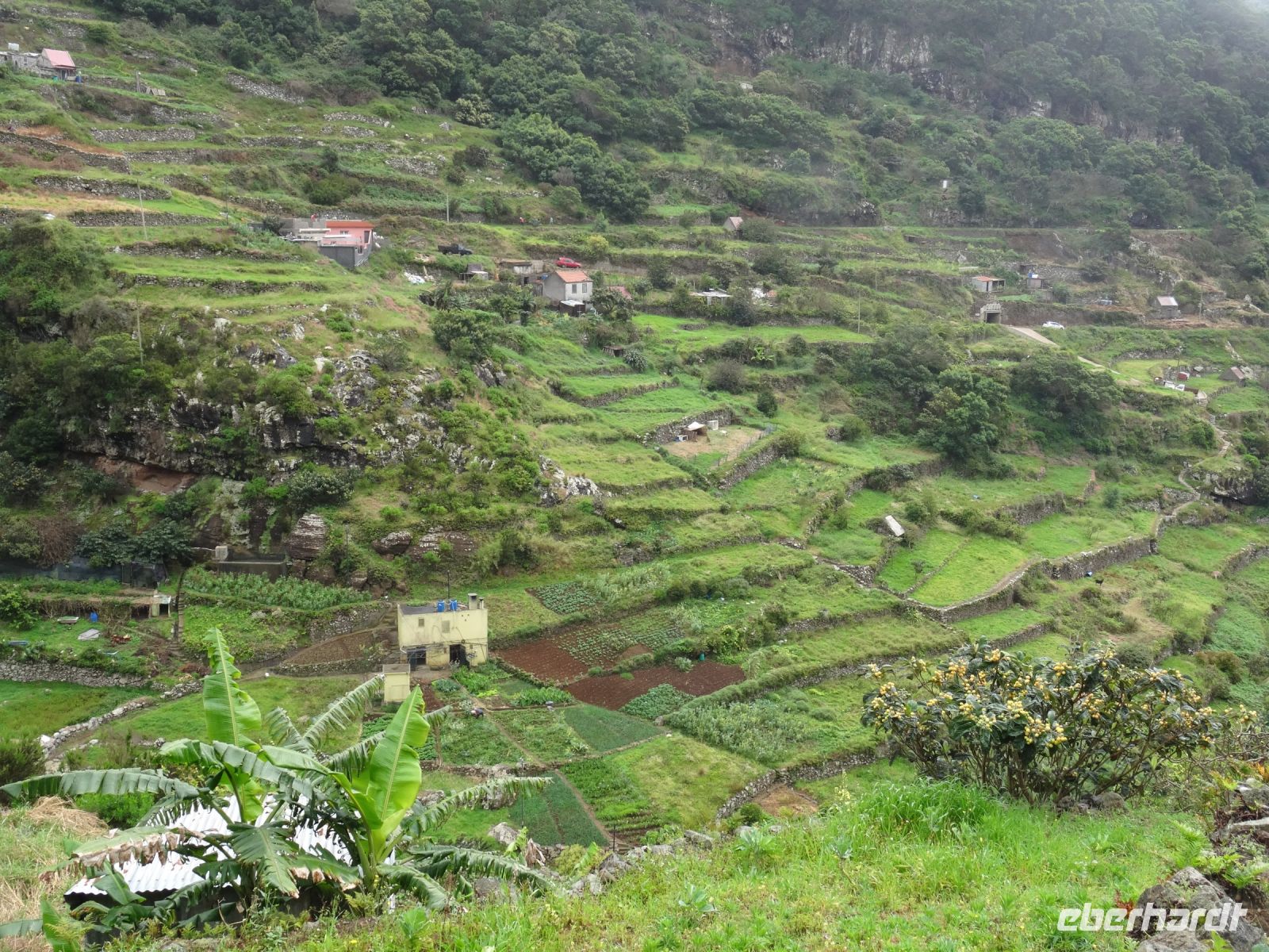 Levada Wanderung - Blick auf die Terrassenfelder