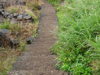 Levada Wanderung - alte Treppe