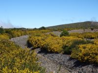 Hochebene Paula da Serra