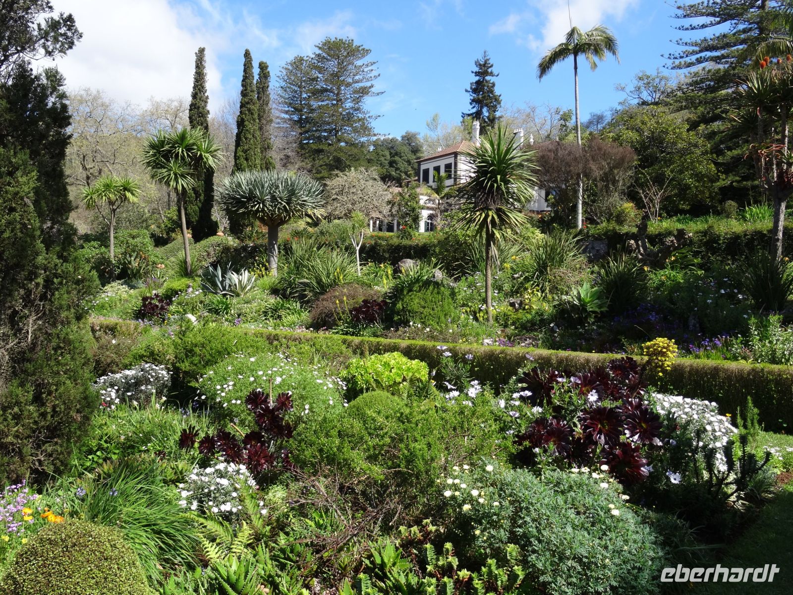 Quinta do Palheiro - Blick auf das Herrenhaus
