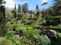 Quinta do Palheiro - Blick auf das Herrenhaus