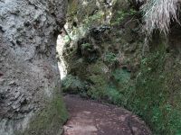 Levada do Balcoes