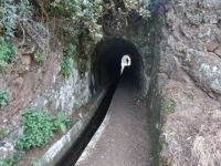 Levada Wanderung