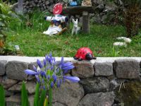 Levada Wanderung - Vielfalt