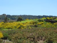 Hochebene Paul da Serra